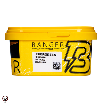 Табак для кальяна Banger Evergreen 200гр