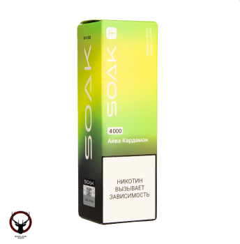 Электронная сигарета SOAK T Айва кардамон 4000 затяжек