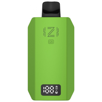 Электронные сигареты IZI QS 6000 Мята / Mint 2 % 6 мл