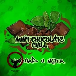 B3 Mint chocolate chill 250гр