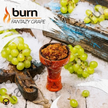 Burn Fantazy grape 100гр МРК