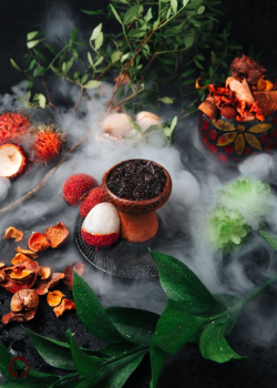 Element ВОДА Lychee 25гр