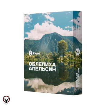 Табак для кальяна "Сарма" Облепиха-апельсин 25гр