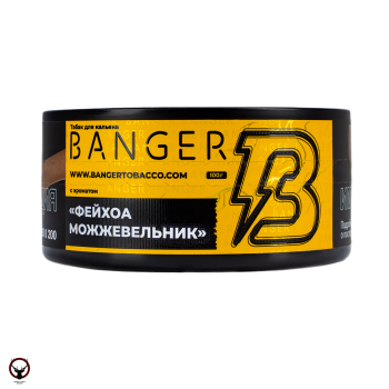 Табак для кальяна Banger Evergreen 100гр