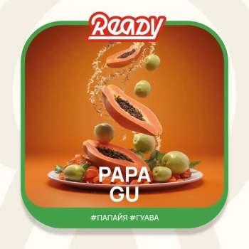 Табак для кальяна Ready 25гр Papa Gu МРК