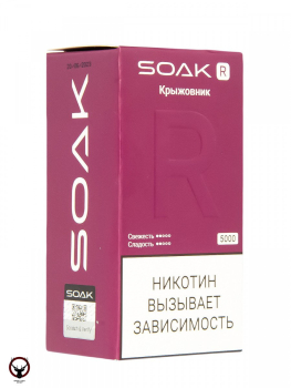 Электронная сигарета SOAK R Крыжовник 5000 затяжек