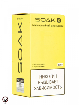 Электронная сигарета SOAK R Малиновый чай с жасмином 5000 затяжек