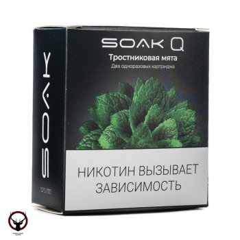 Картридж SOAK Q Тросниковая мята (2шт) МРК