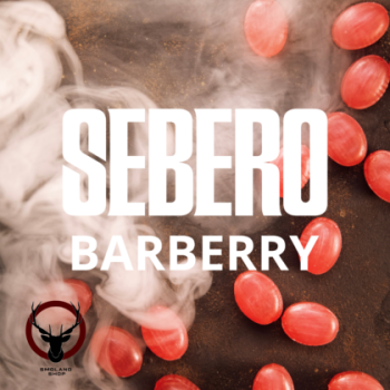 SEBERO Classic с ароматом Барбарис (Barberry), 200 гр.