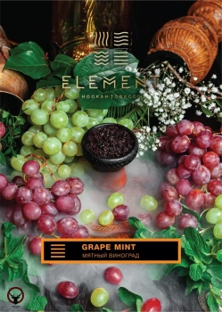 Element ЗЕМЛЯ Grape Mint 40гр МРК