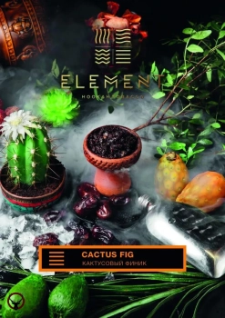 Element ЗЕМЛЯ Cactus Fig 40гр МРК