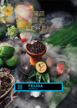 Element ВОДА Feijoa 100гр МРК