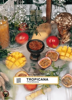 Element ВОЗДУХ Tropicana 40гр МРК