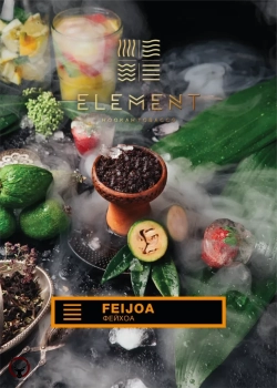 Element ЗЕМЛЯ Feijoa 40гр МРК