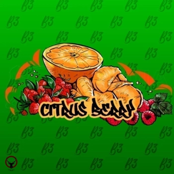 B3 Berry citrus 250гр АТП МРК