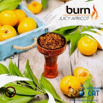 Burn Juicy apricot 100гр МРК