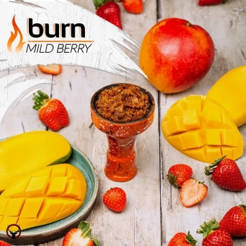 Burn Mild berry 100гр МРК