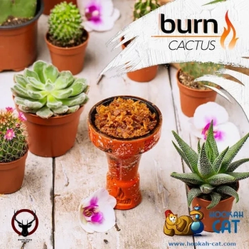 Burn с ароматом сладкий вкус колючего мексиканского кактуса (Cactus), 200гр.