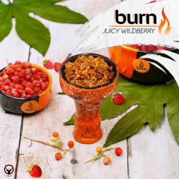 Burn с ароматом дикая земляника (Juicy wildberry), 200гр.
