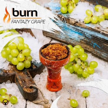 Burn Fantazy grape 200гр МРК