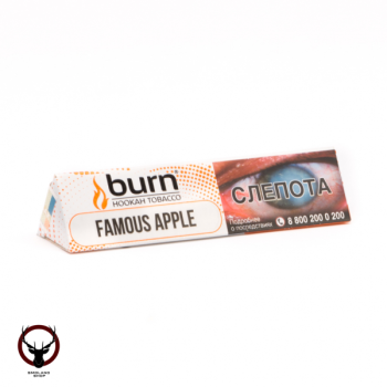 Burn с ароматом сочное зеленое яблоко с холодком (Famous Apple), 25гр.