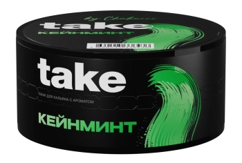 Табак Take - Cane Mint (Тростниковая Мята) 25 гр.