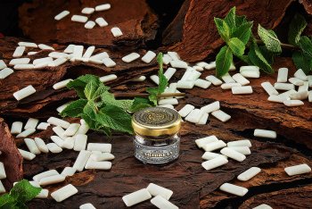 Табак WTO Caribbean Blend – Мятная жевательная резинка 20 гр.