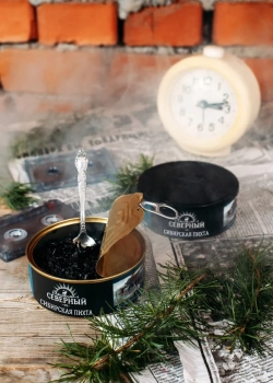 Северный Сибирская пихта 25гр