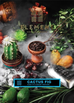 Element ВОДА Cactus Fig 100гр
