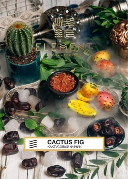 Element ВОЗДУХ Cactus Fig 40гр