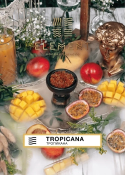Element ВОЗДУХ Tropicana 40гр