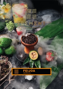 Element ЗЕМЛЯ Feijoa 40гр