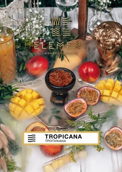 Element ВОДА Tropicana 200гр