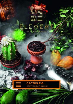 Element ЗЕМЛЯ Cactus Fig 100гр