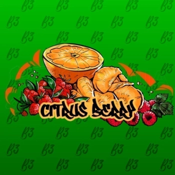 B3 Berry citrus 250гр АТП