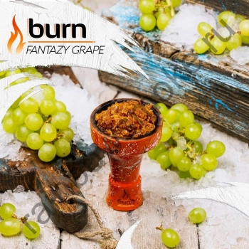 Burn Fantazy grape 100гр МРК