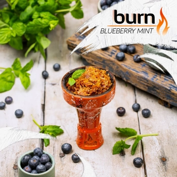 Burn Blueberry mint 100гр