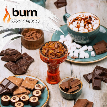 Burn Sexy choco 200гр АТП