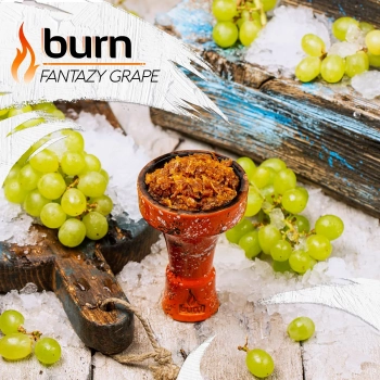 Burn Fantazy grape 200гр