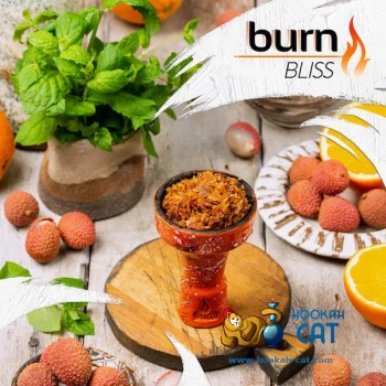 Burn Bliss 25гр