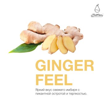 Табак для кальяна MattPear Ginger Feel 250 гр.