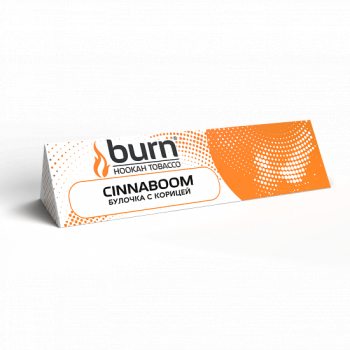 Burn Cinnaboom 25гр