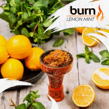 Табак для кальяна Burn Lemon mint 100гр