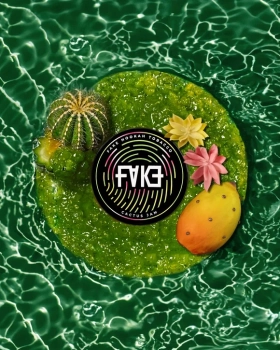 FAKE Cactus Табак для кальяна JAM 40 г