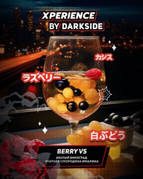 Табак для кальяна Darkside XPERIENCE BERRY VS 120 гр.