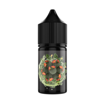 Жидкость SOAK L30 Cactus Lemonade 30 мл 2 мг