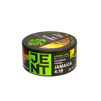 Табак для кальяна JENT JAMaica 4:19 (Полевые травы) 25гр