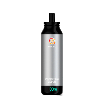 Эл. сиг. Q5 TITANIC 14000 Лесные ягоды, мята и лед /Wild berries, mint and ice  2 %