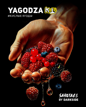 Табак Darkside SABOTAGE - Yagodza 30 гр.