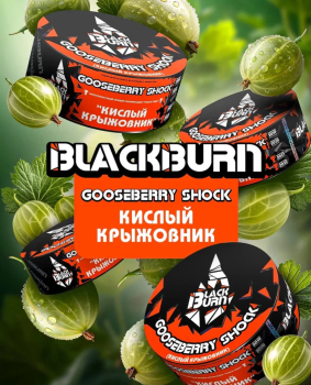 Burn BLACK Gooseberry Shock 25гр